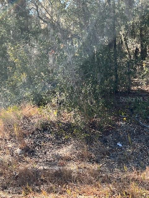 Details for Tbd Locust Pass Loop, OCALA, FL 34472