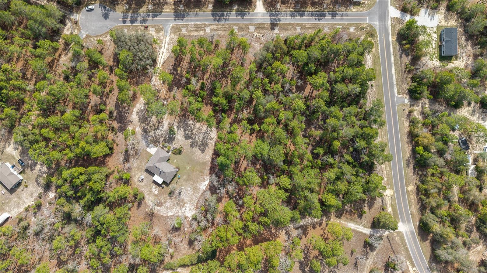 Image 64 of 67 For 102 Whirlwind Way