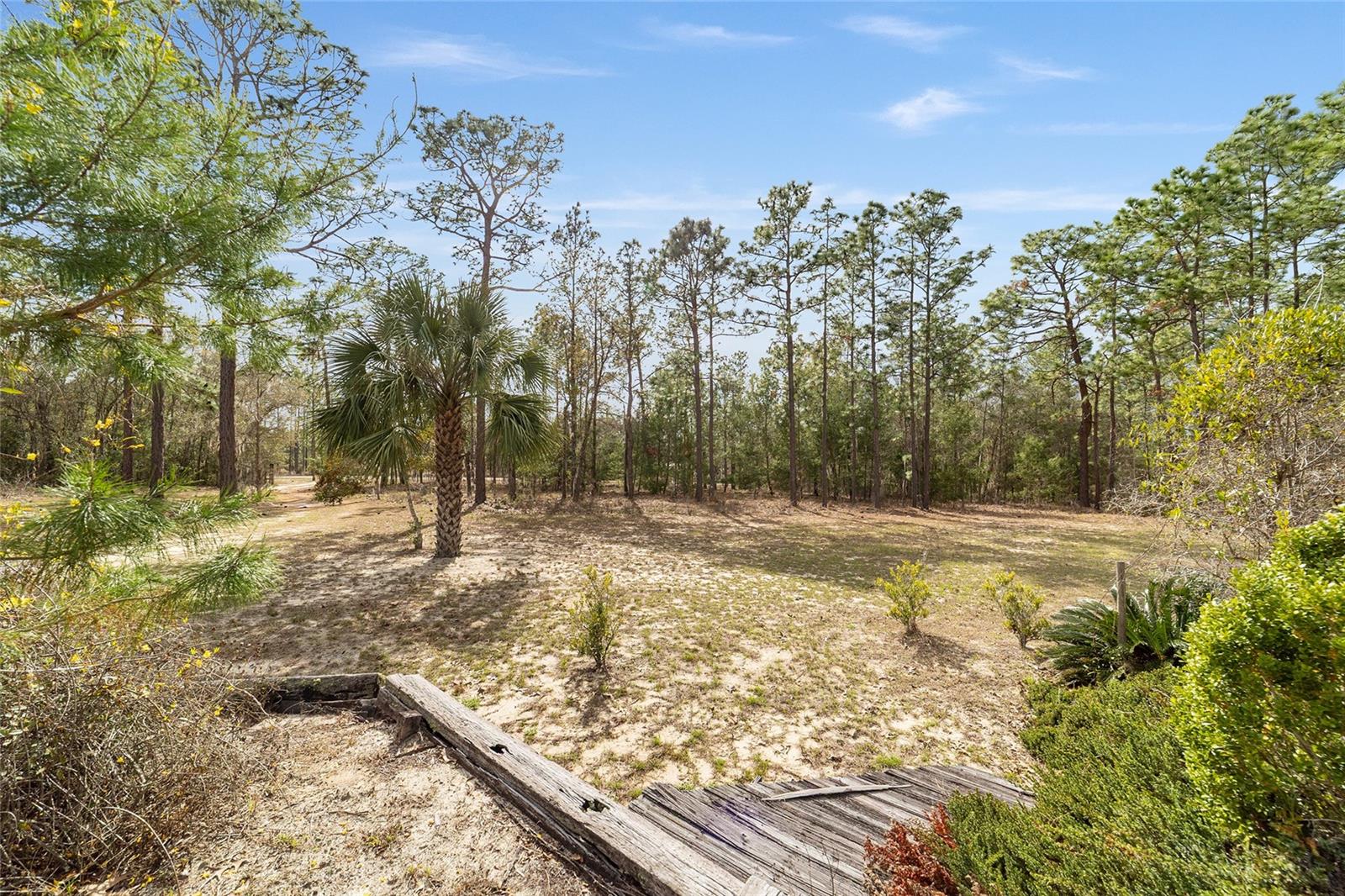 Image 65 of 67 For 102 Whirlwind Way