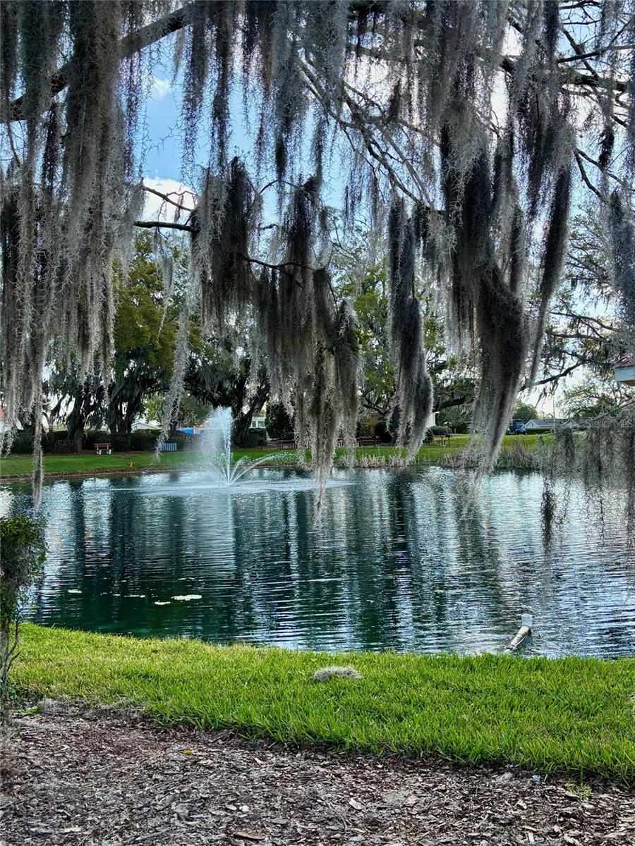 Image 46 of 49 For 10235 179th Place