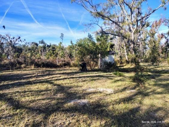 Image 8 of 22 For 823 Warner Avenue