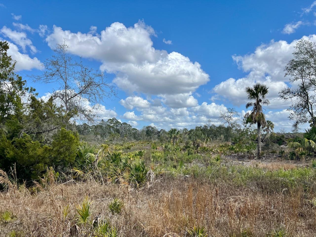 Image 10 of 26 For  Shiloh Road 