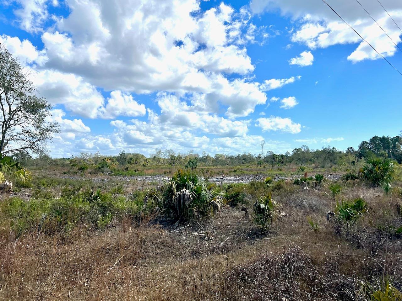 Image 11 of 26 For  Shiloh Road 