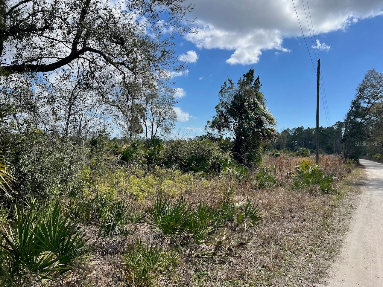 Image 12 of 26 For  Shiloh Road 