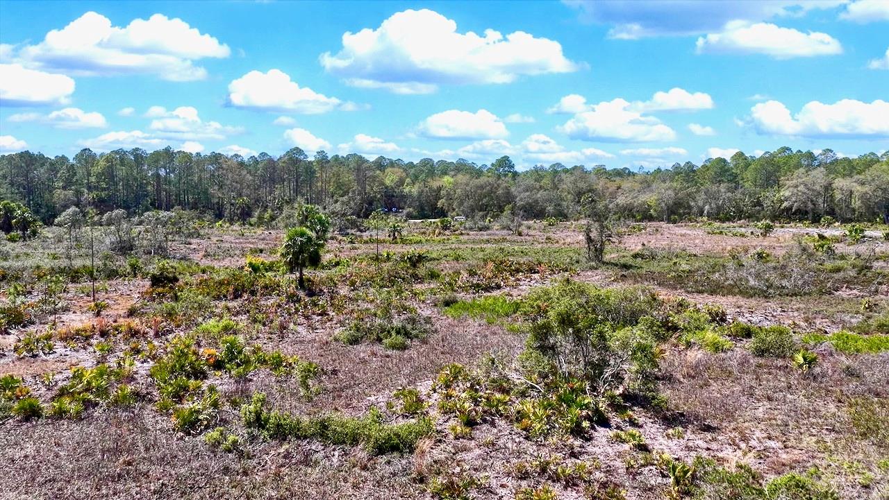 Image 13 of 26 For  Shiloh Road 