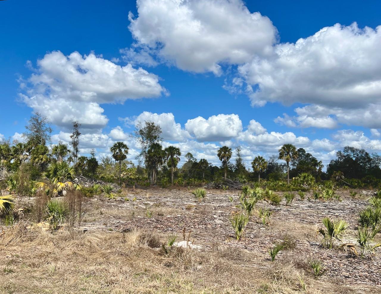 Image 2 of 26 For  Shiloh Road 