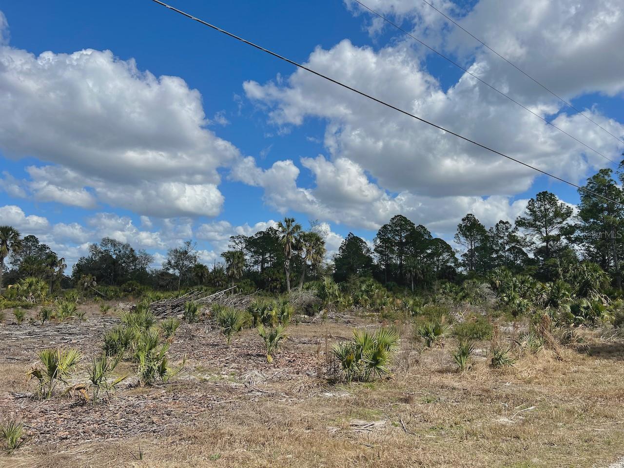 Image 4 of 26 For  Shiloh Road 