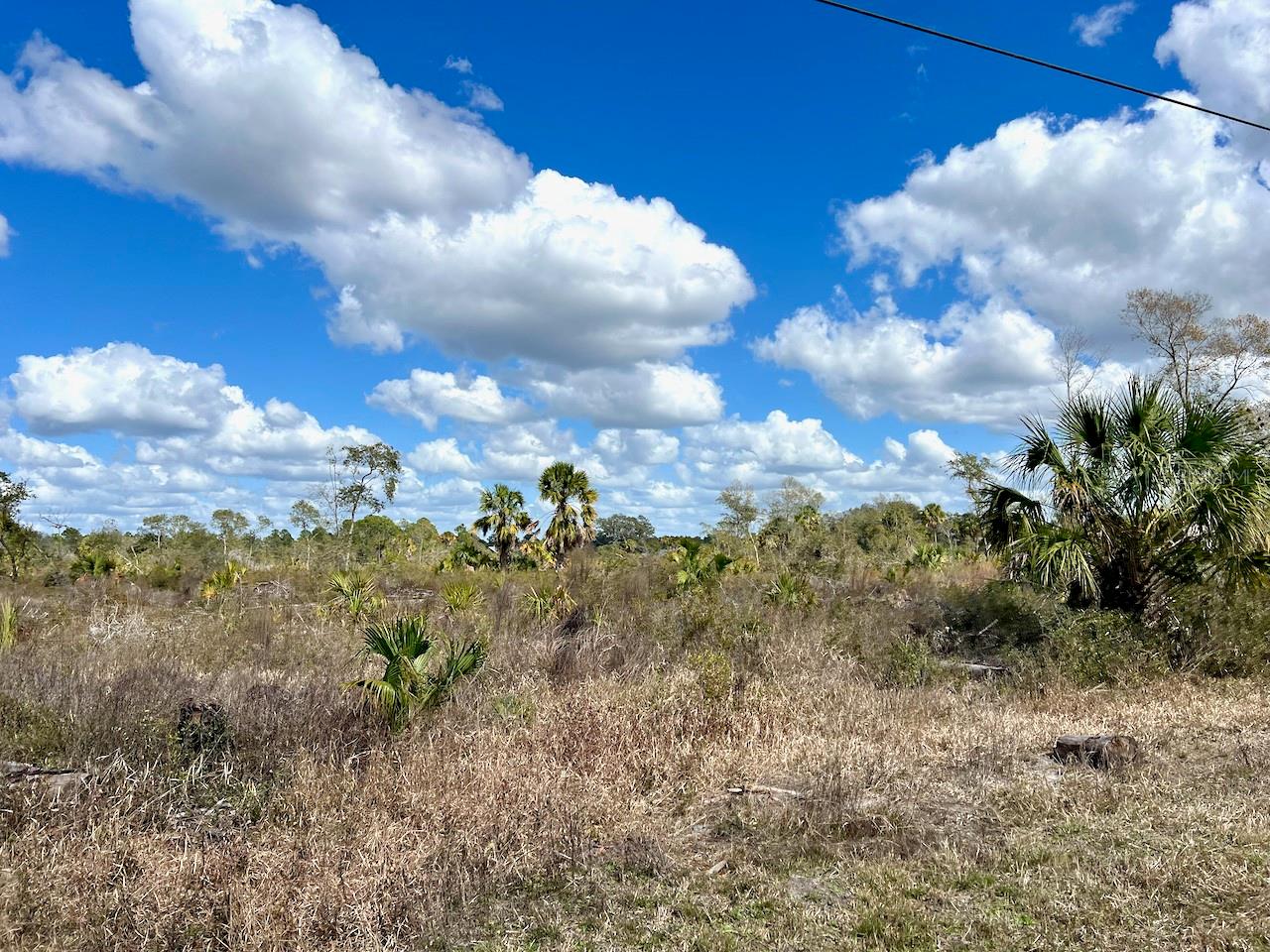 Image 5 of 26 For  Shiloh Road 