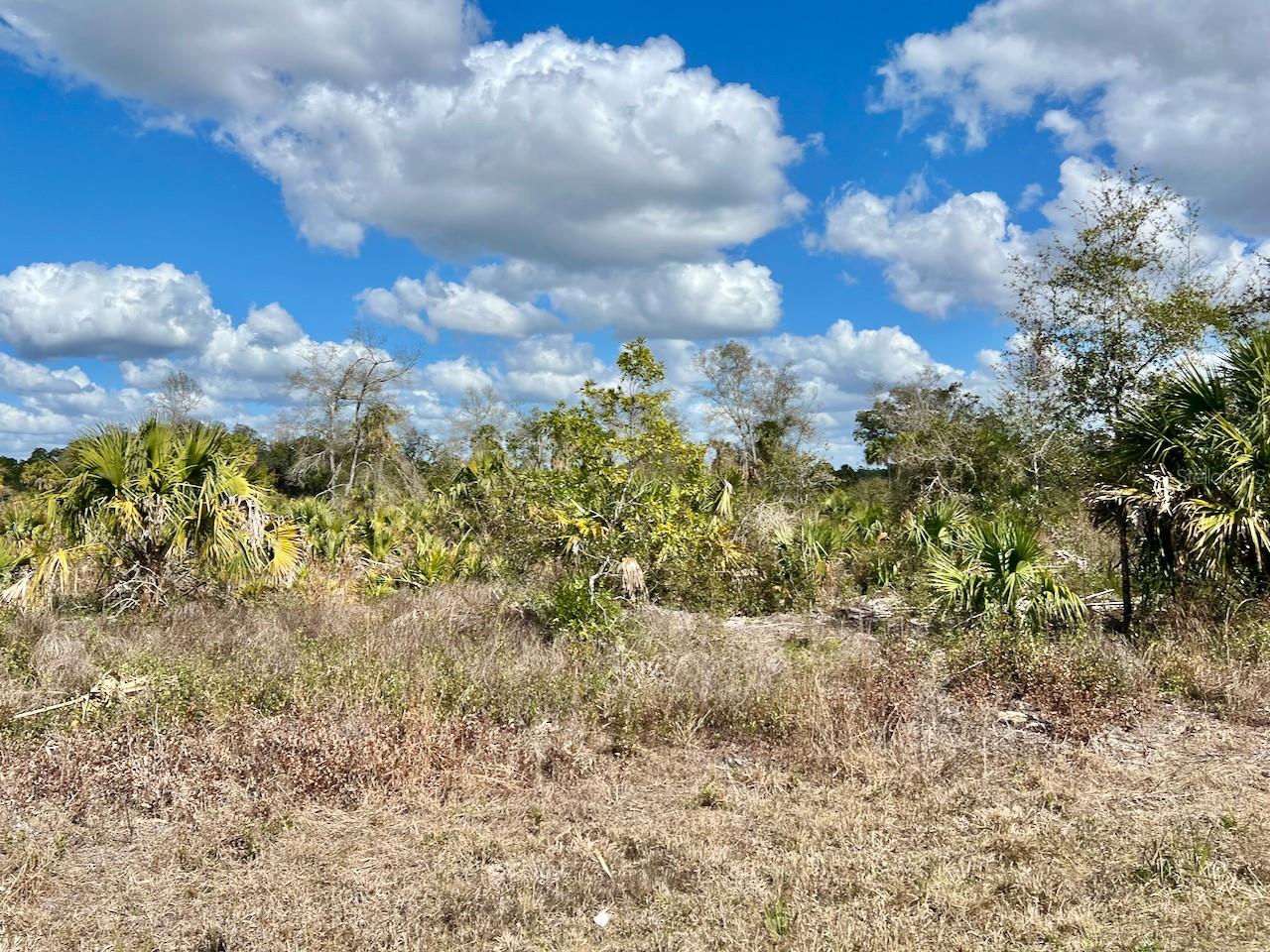 Image 7 of 26 For  Shiloh Road 