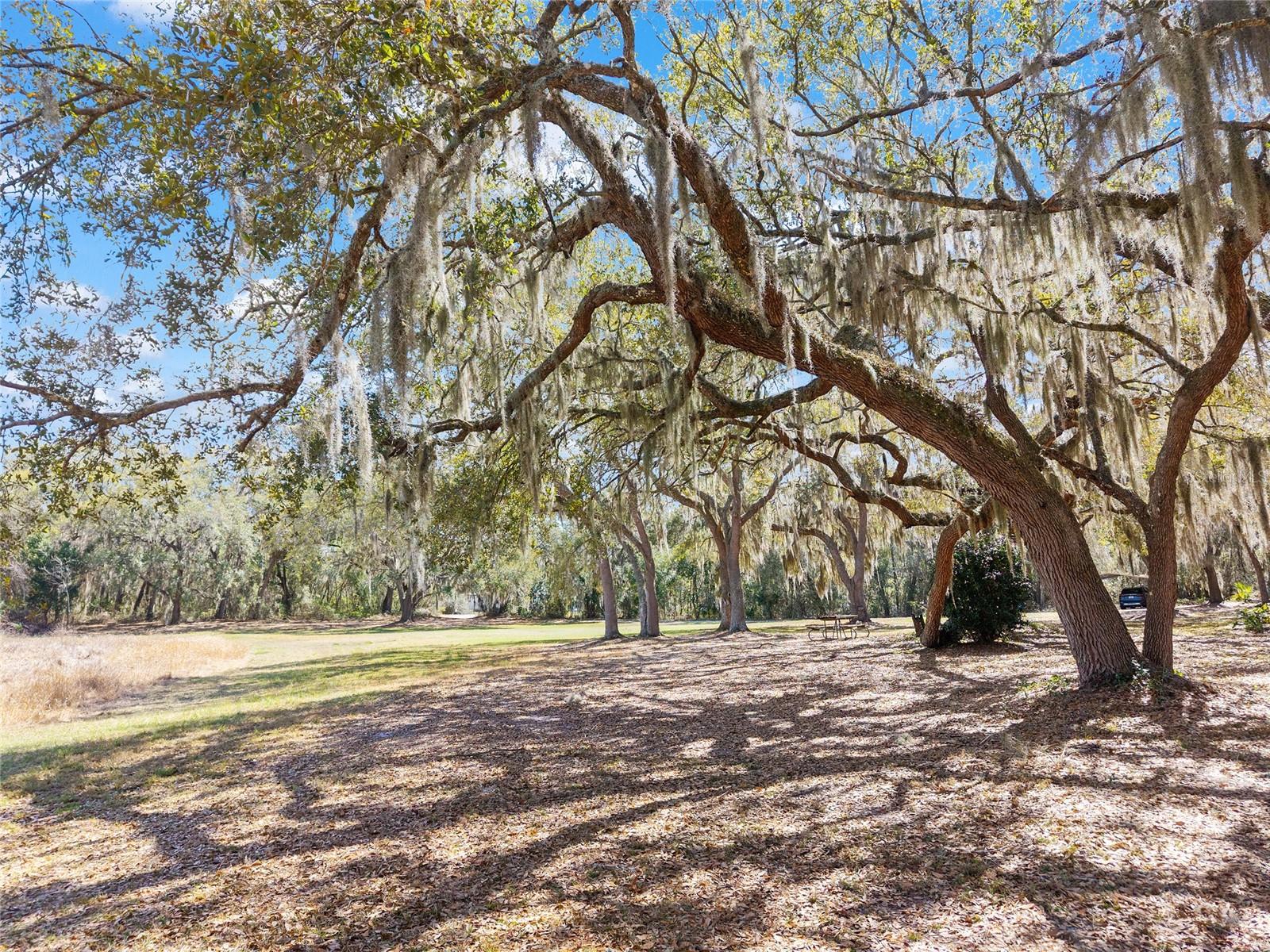 Image 74 of 90 For 11990 112th Avenue Road