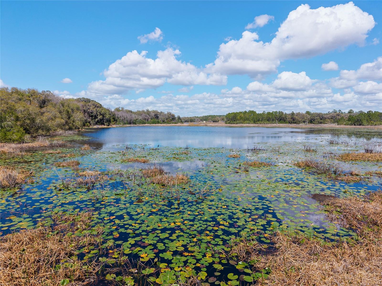 Image 75 of 90 For 11990 112th Avenue Road