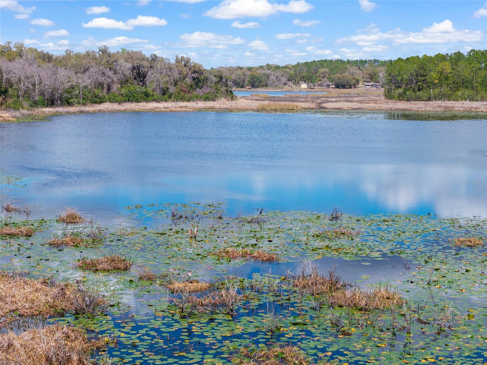 Image 86 of 90 For 11990 112th Avenue Road