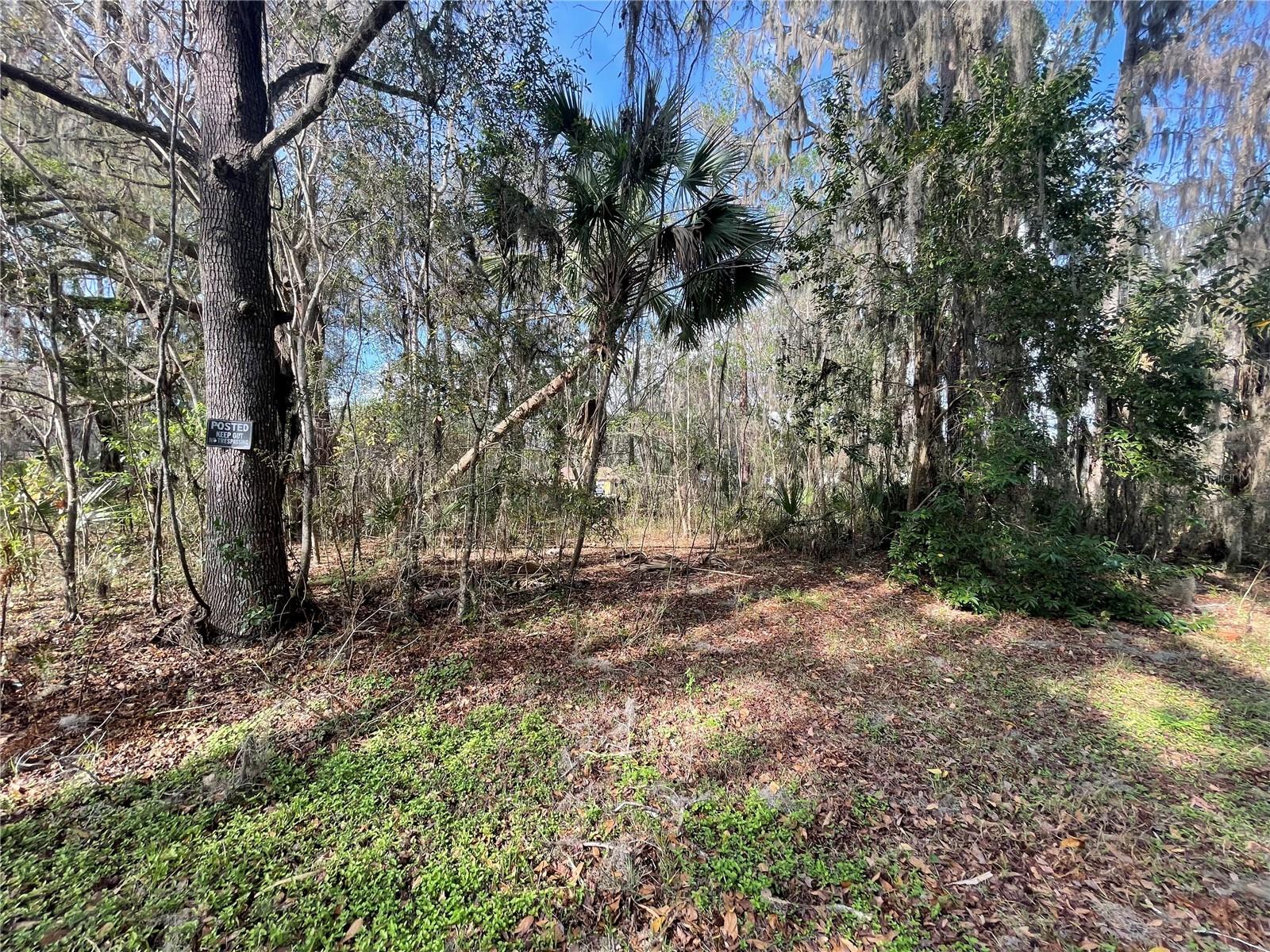 Details for Tbd 40th Loop, OCALA, FL 34480