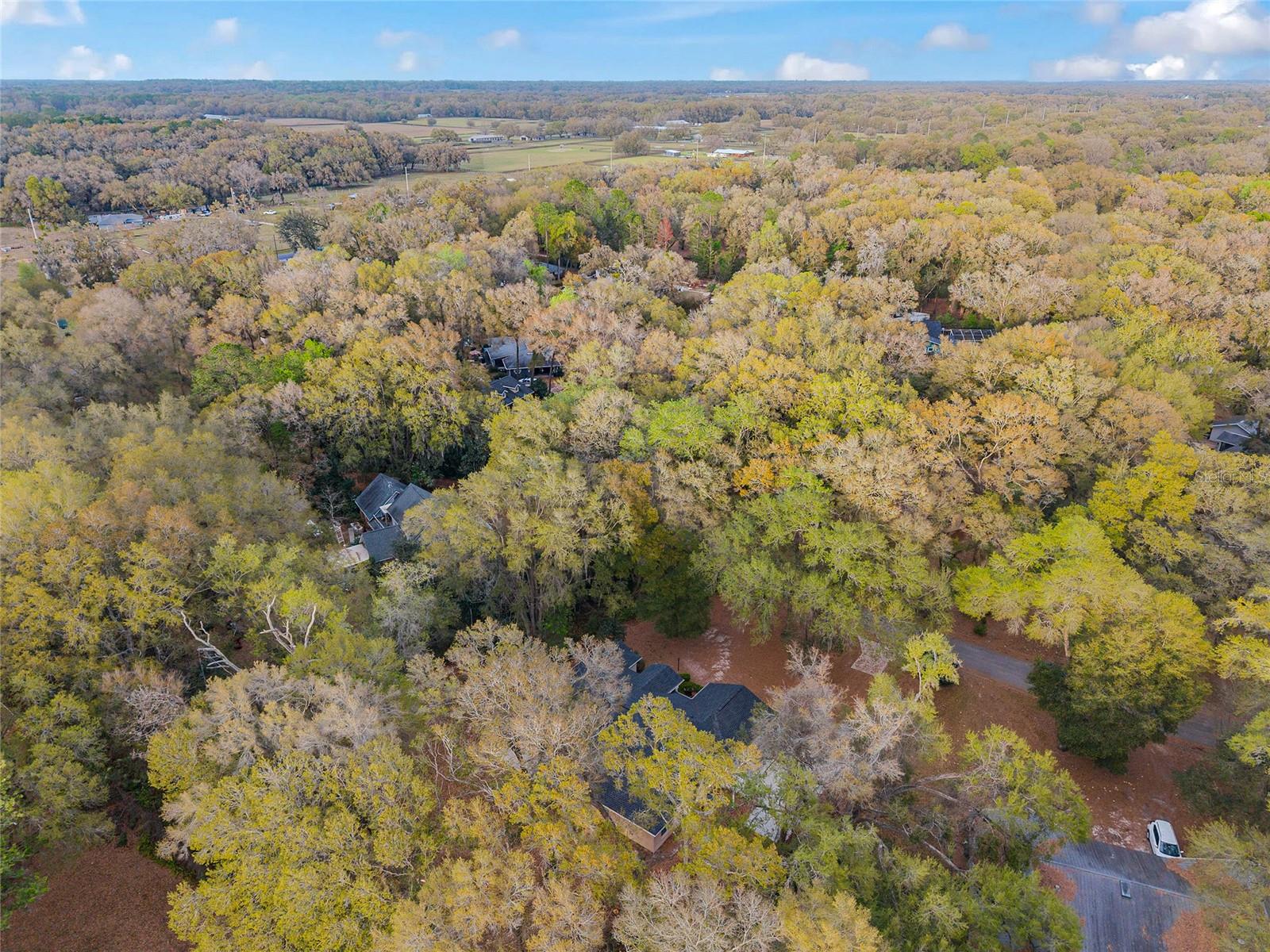 Image 87 of 91 For 14650 1st Avenue Road