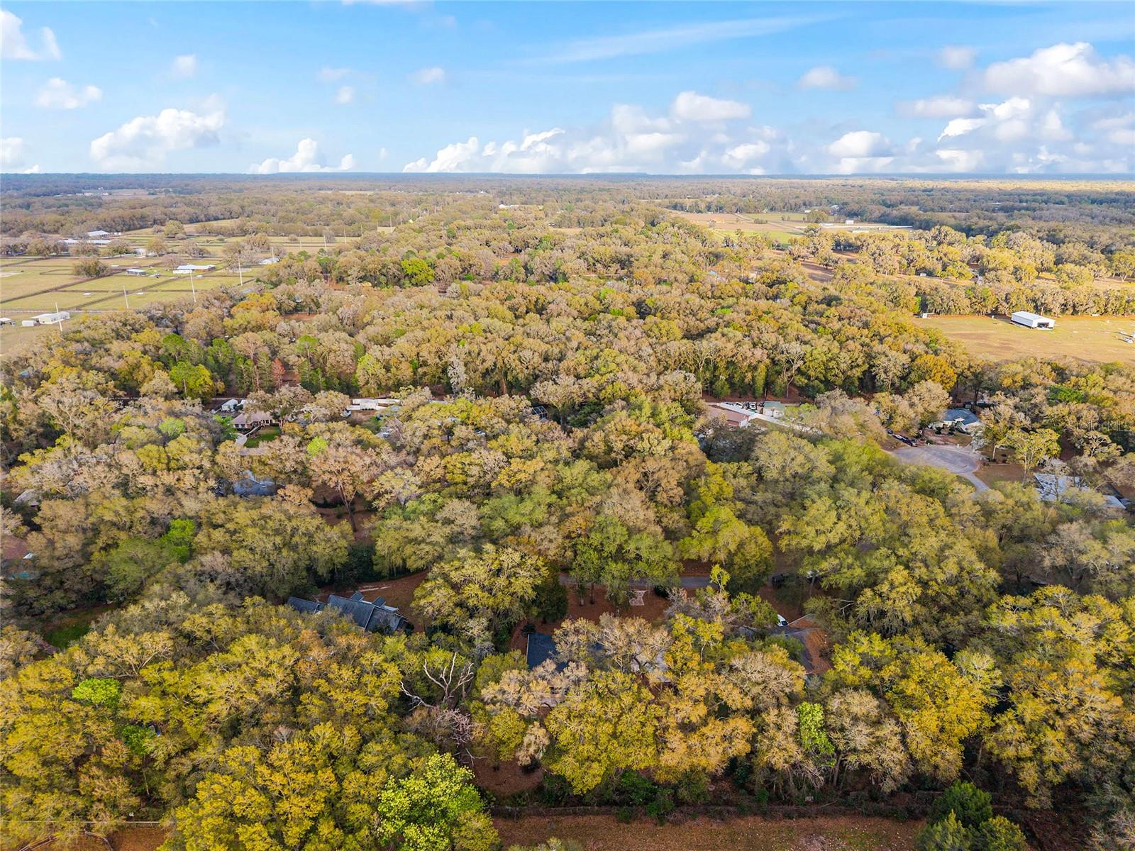 Image 88 of 91 For 14650 1st Avenue Road