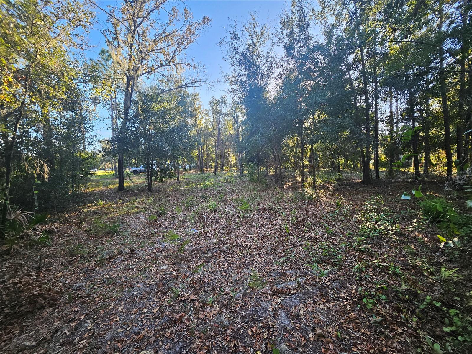 Image 5 of 8 For 4462 & 4484 Well View Point