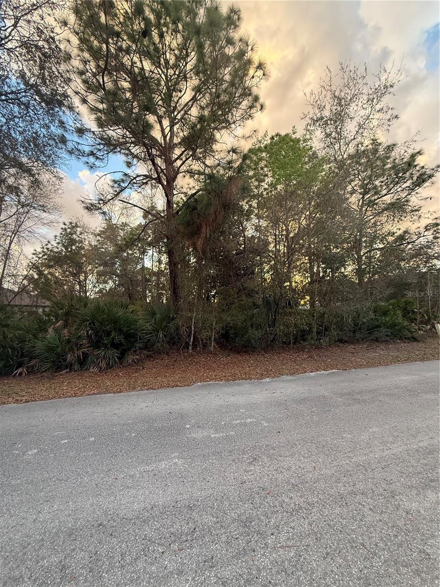 Details for 8 Mangrove Court N, HOMOSASSA, FL 34446