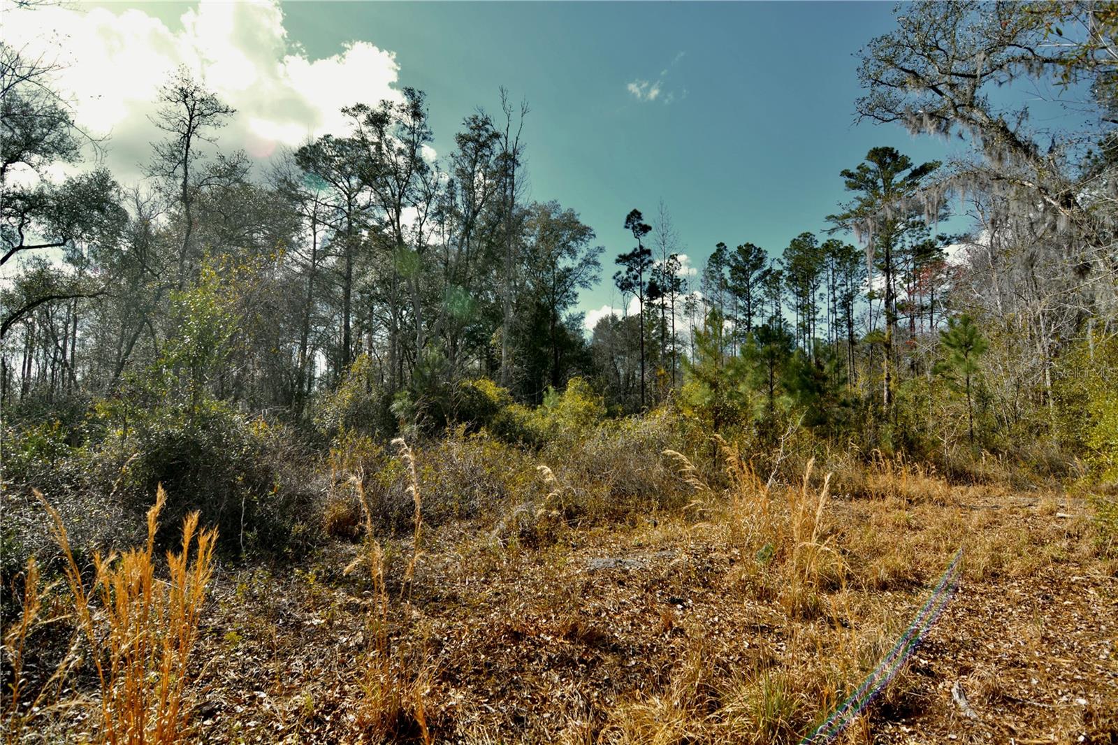 Image 10 of 52 For 00 Nw 89th Avenue