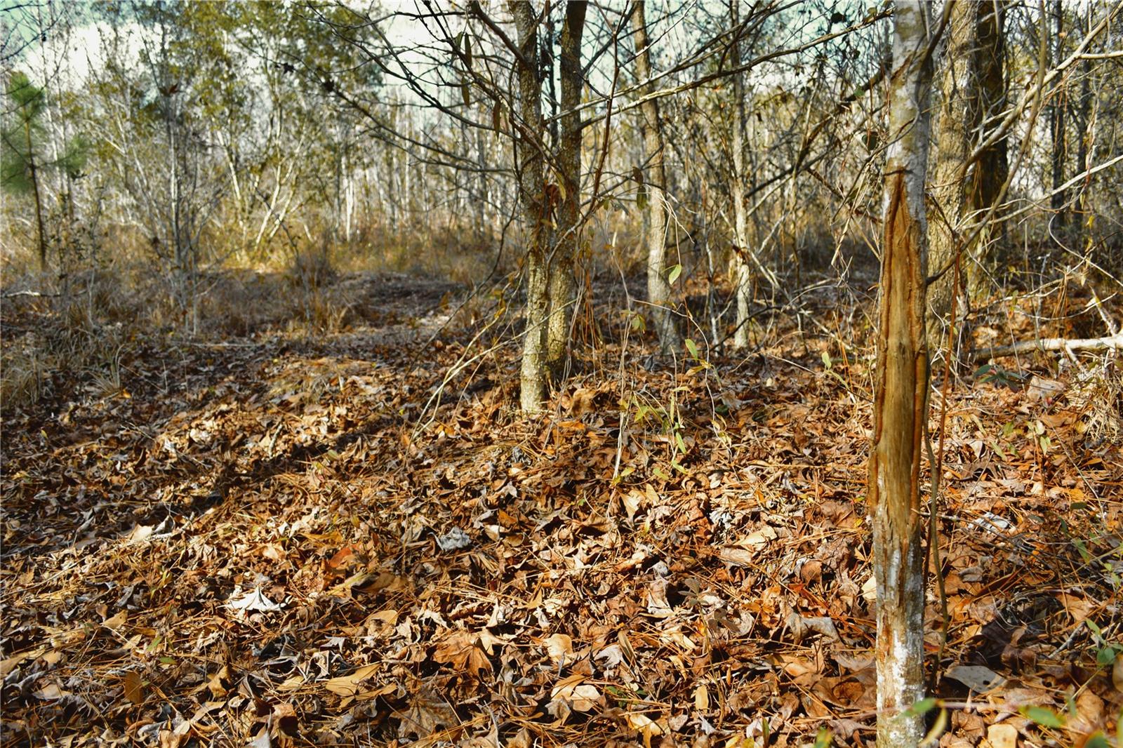 Image 11 of 52 For 00 Nw 89th Avenue