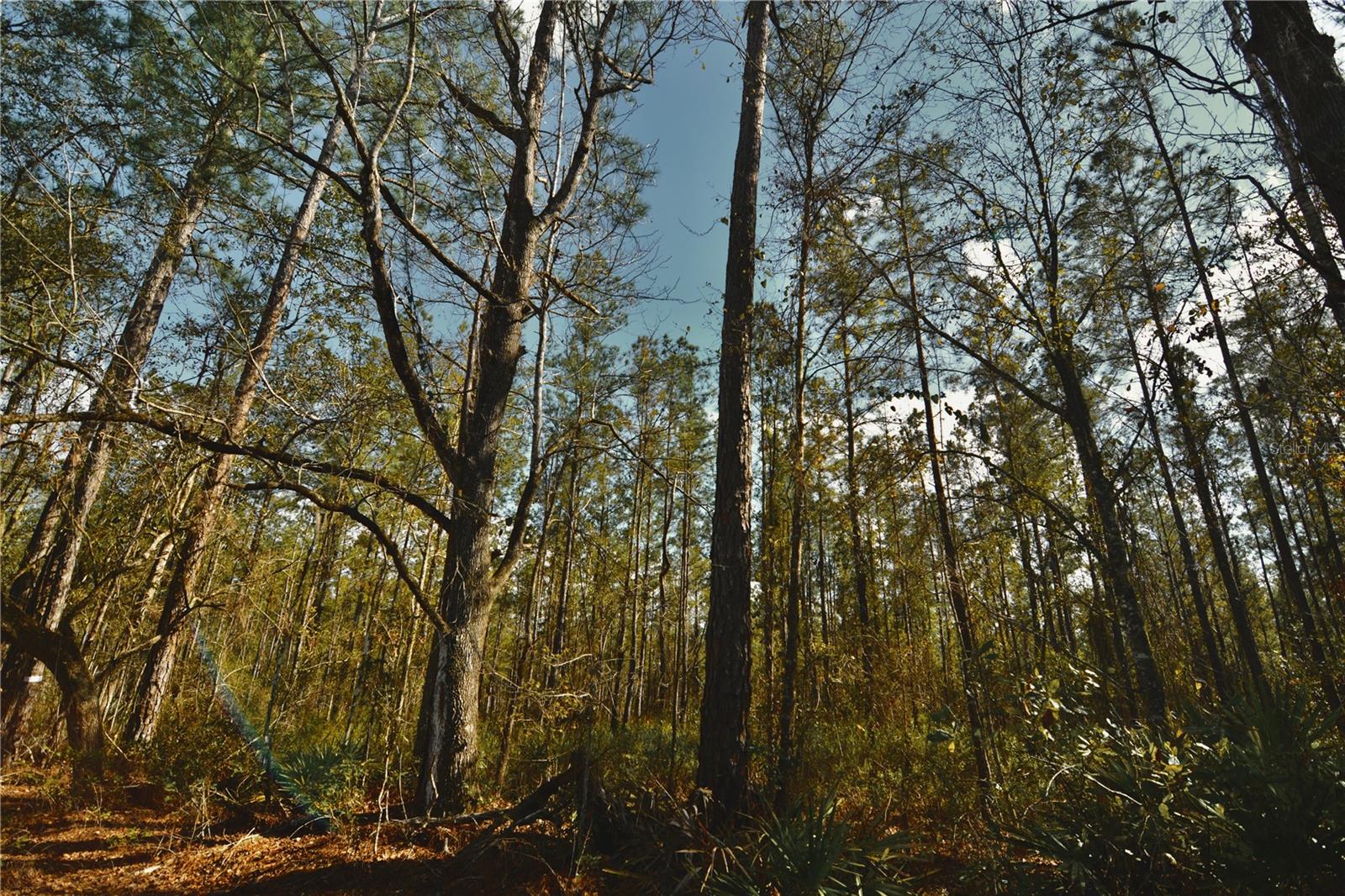 Image 12 of 52 For 00 Nw 89th Avenue