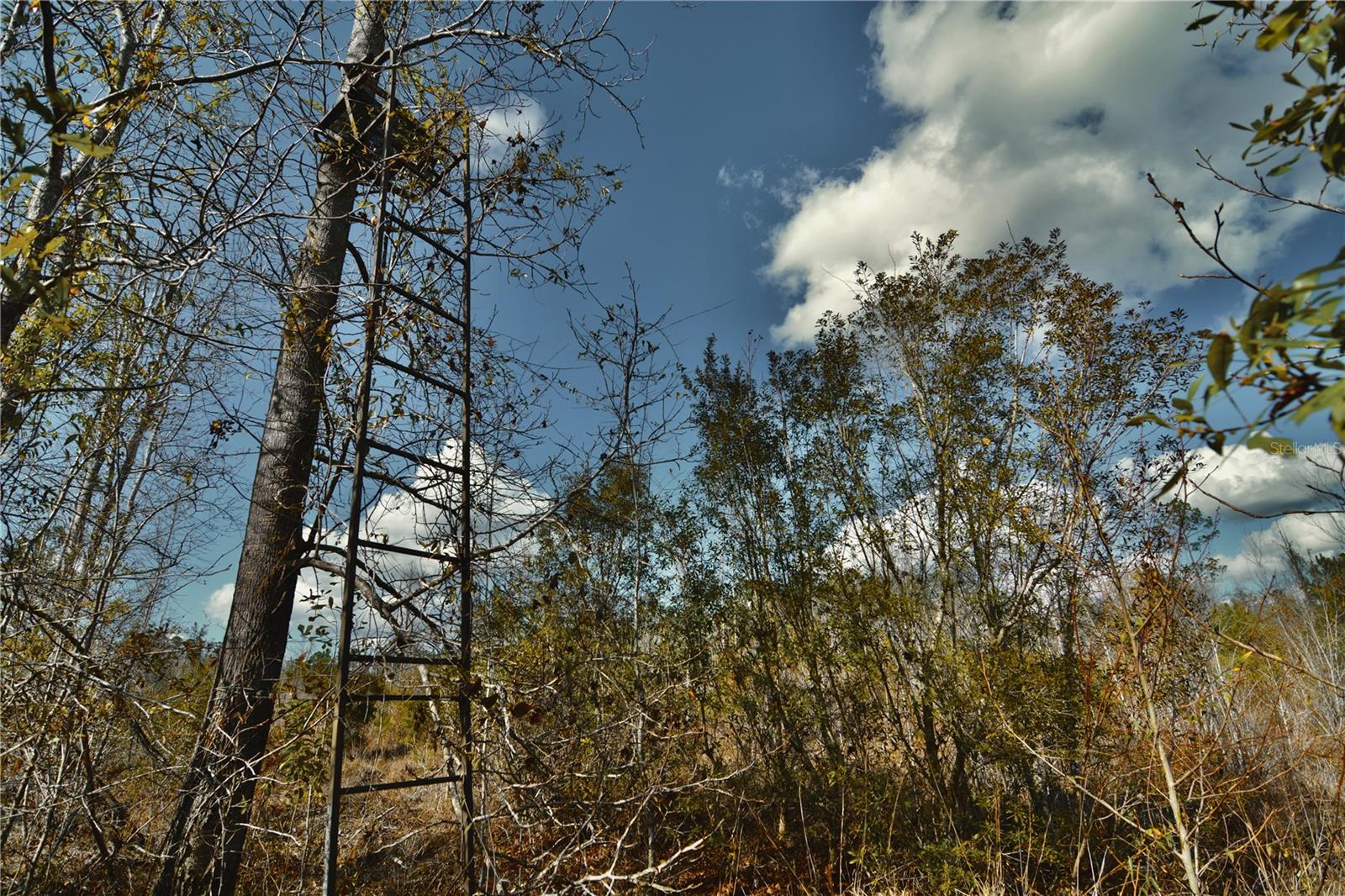 Image 13 of 52 For 00 Nw 89th Avenue