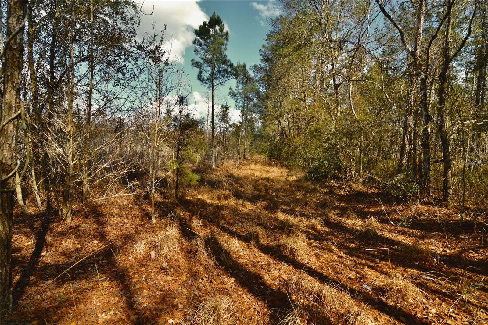 Image 14 of 52 For 00 Nw 89th Avenue