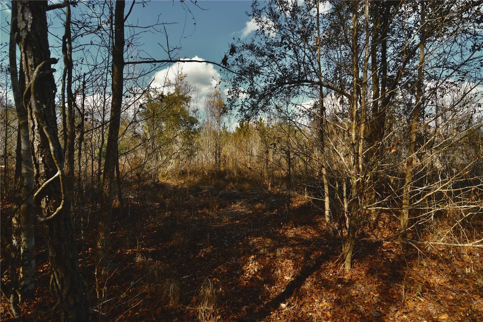 Image 15 of 52 For 00 Nw 89th Avenue