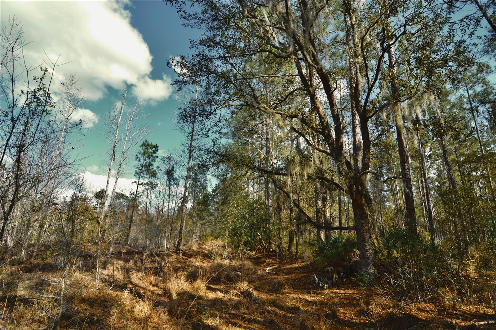 Image 16 of 52 For 00 Nw 89th Avenue