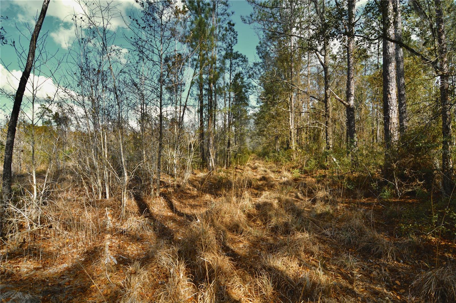 Image 17 of 52 For 00 Nw 89th Avenue