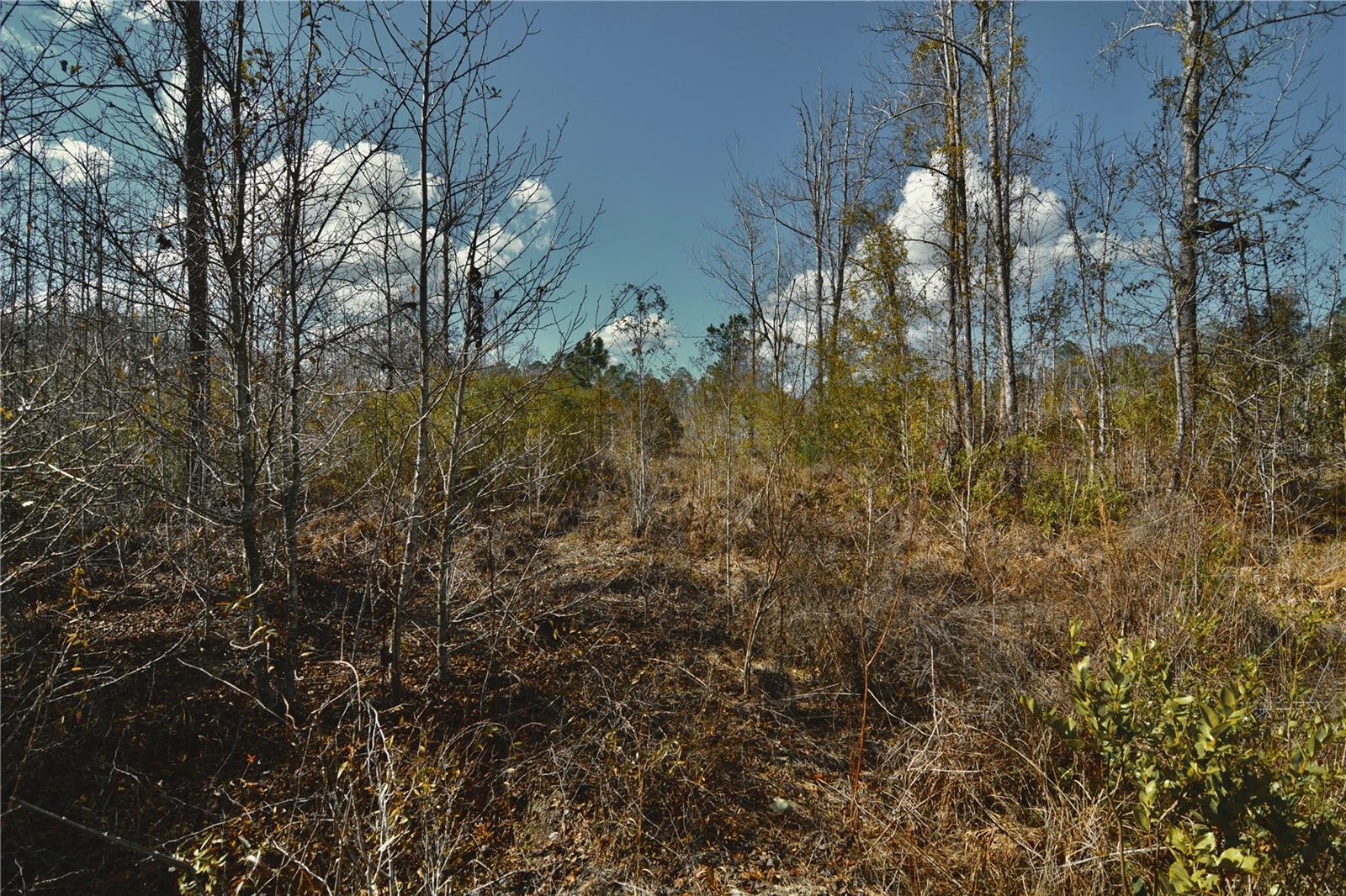 Image 18 of 52 For 00 Nw 89th Avenue