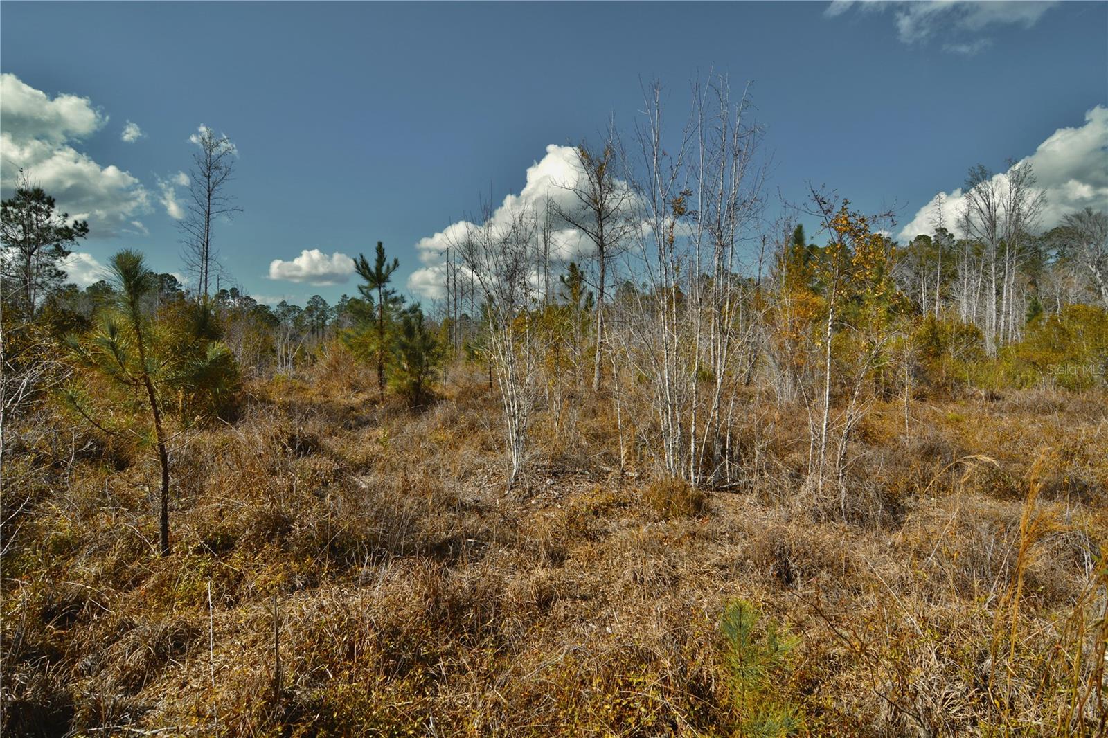 Image 19 of 52 For 00 Nw 89th Avenue