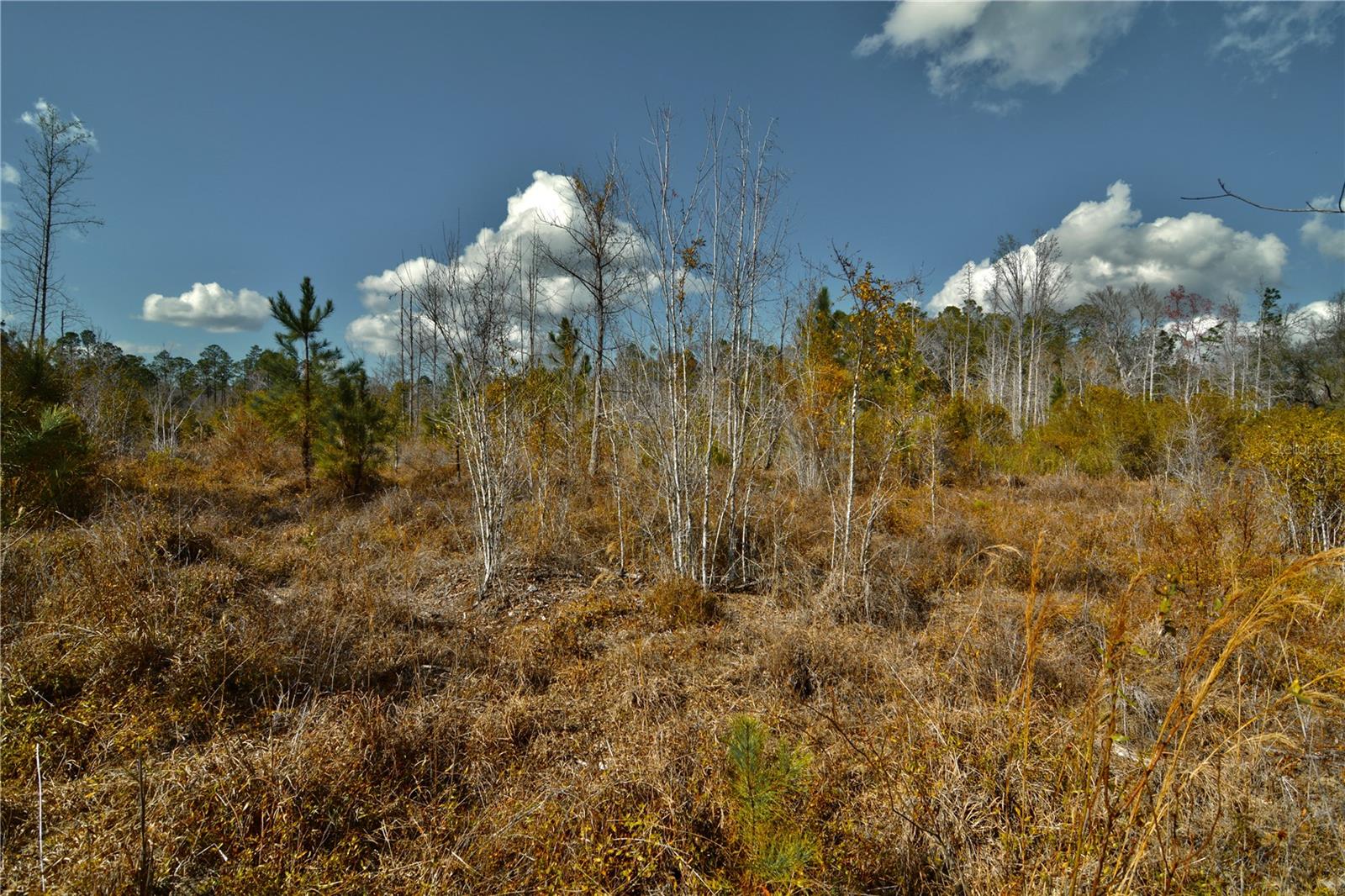 Image 20 of 52 For 00 Nw 89th Avenue