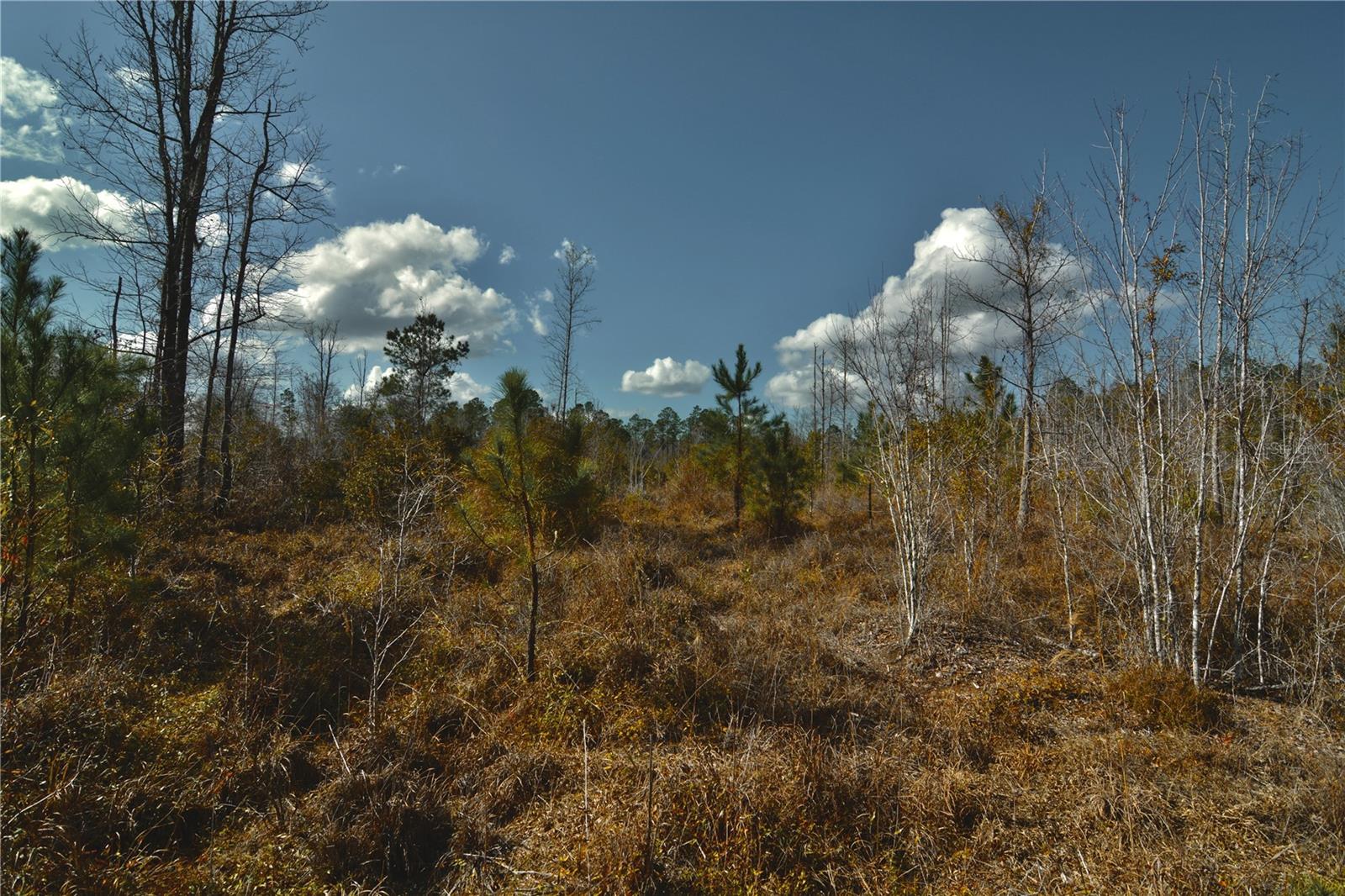 Image 21 of 52 For 00 Nw 89th Avenue