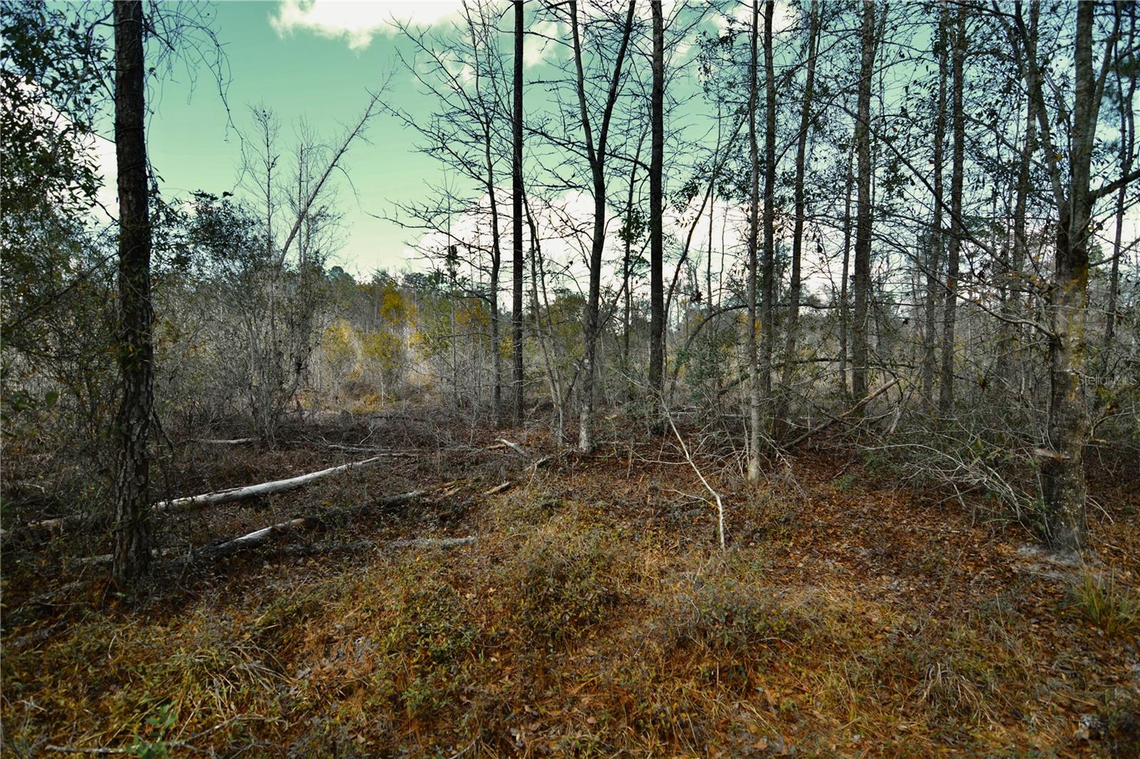 Image 23 of 52 For 00 Nw 89th Avenue