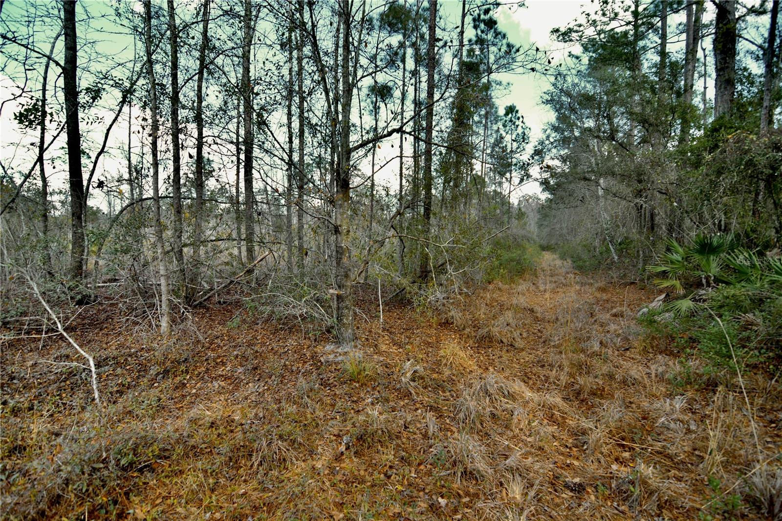 Image 24 of 52 For 00 Nw 89th Avenue