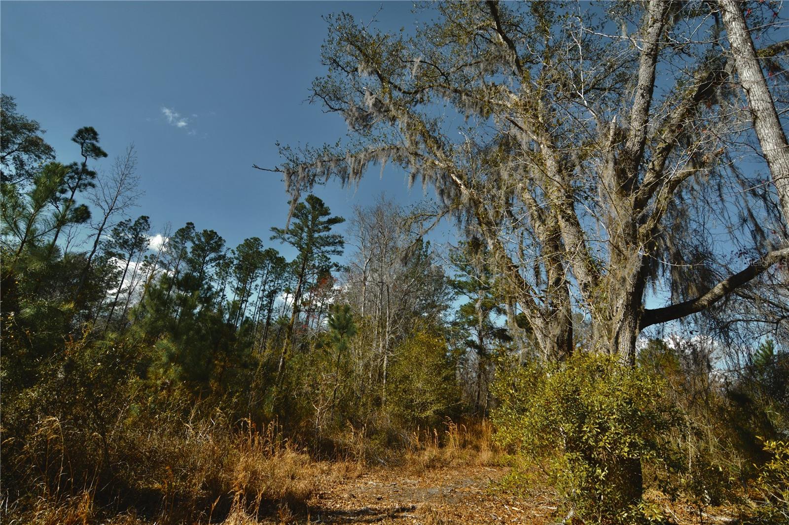 Image 25 of 52 For 00 Nw 89th Avenue