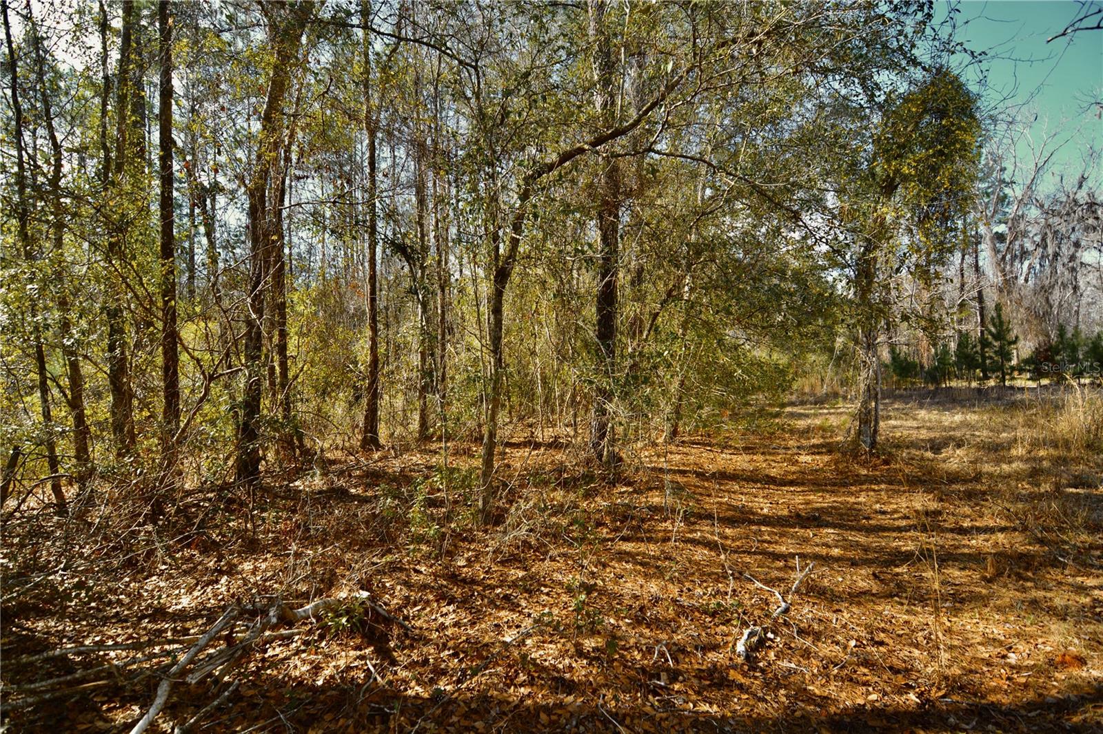 Image 26 of 52 For 00 Nw 89th Avenue