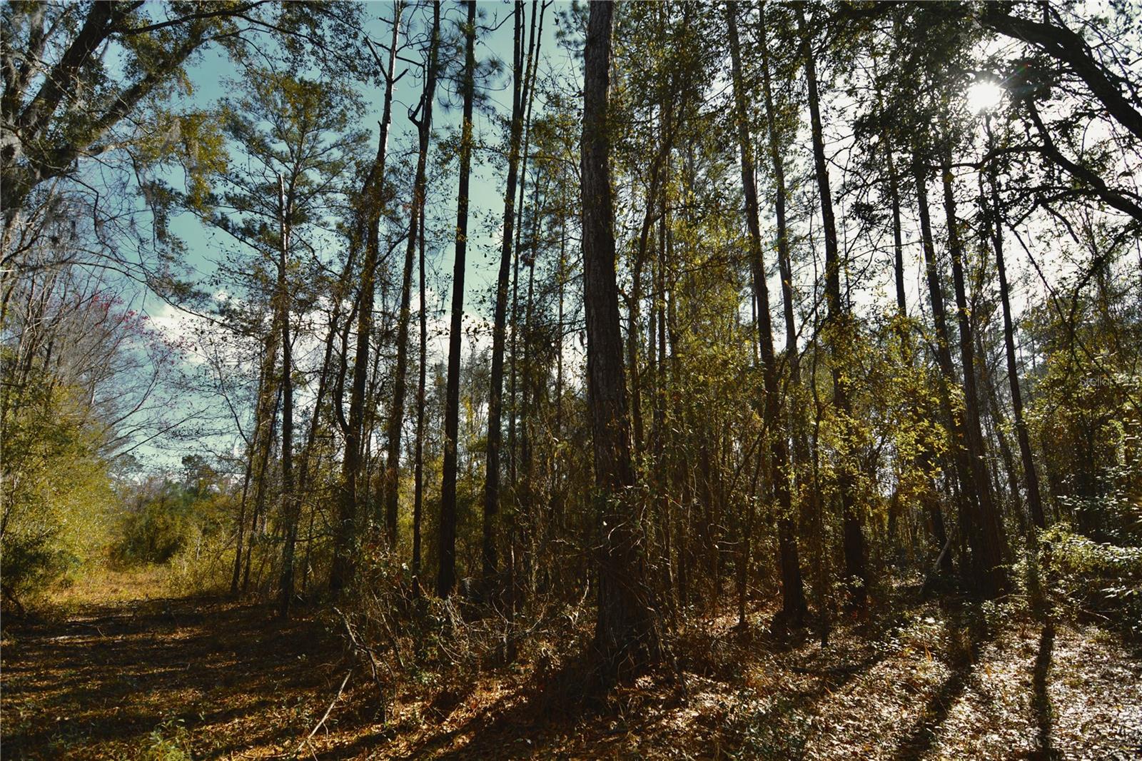 Image 27 of 52 For 00 Nw 89th Avenue