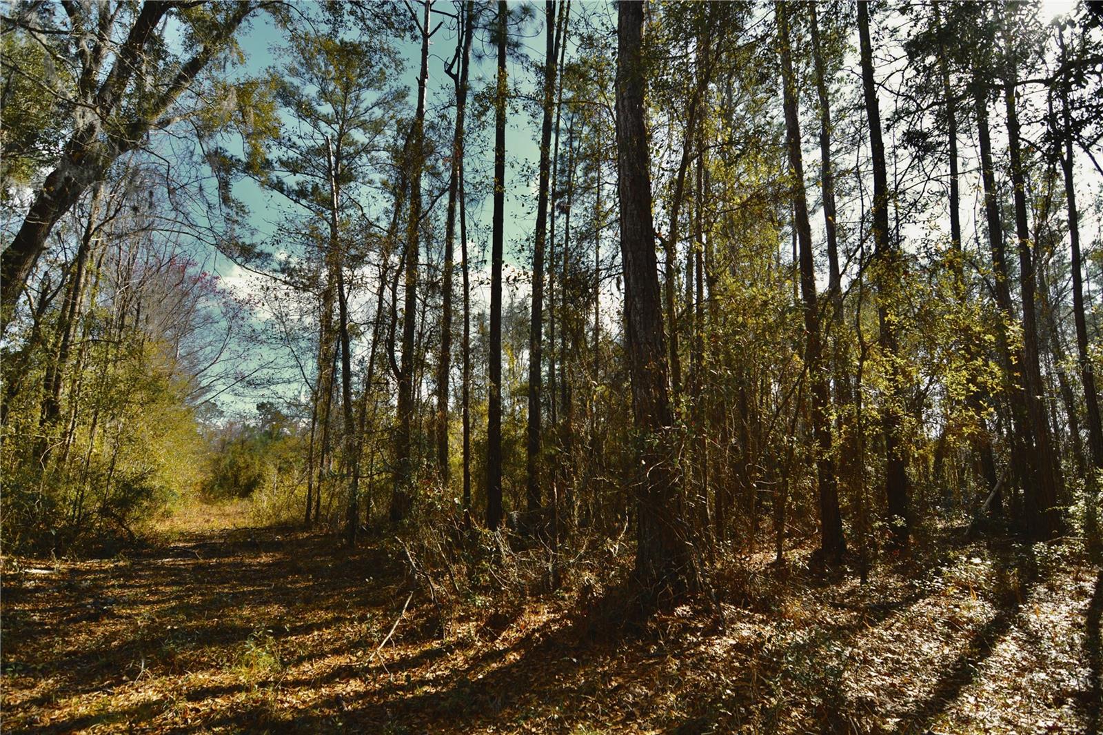 Image 28 of 52 For 00 Nw 89th Avenue