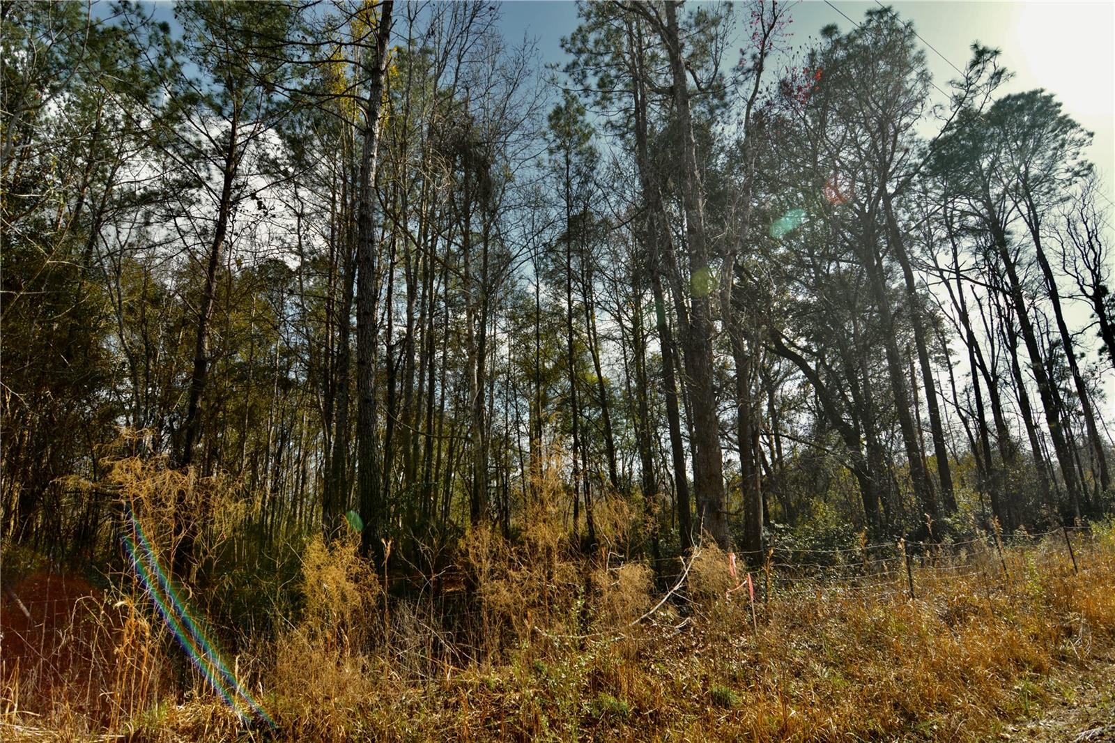 Image 30 of 52 For 00 Nw 89th Avenue