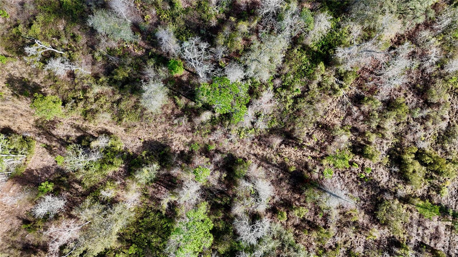 Image 31 of 52 For 00 Nw 89th Avenue