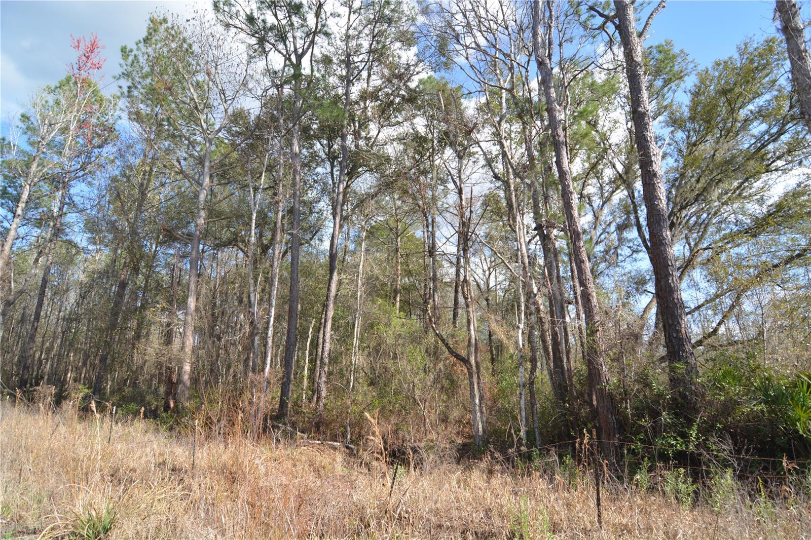 Image 32 of 52 For 00 Nw 89th Avenue