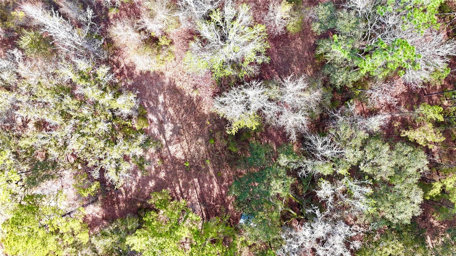 Image 39 of 52 For 00 Nw 89th Avenue