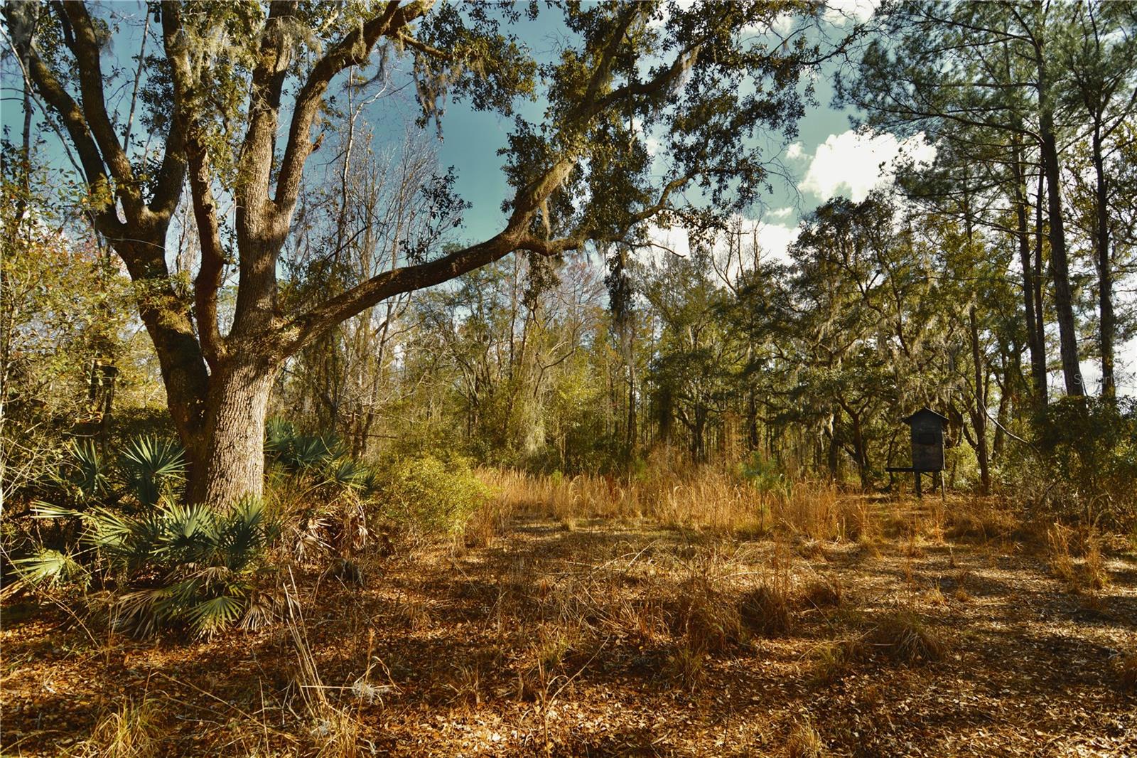 Image 4 of 52 For 00 Nw 89th Avenue