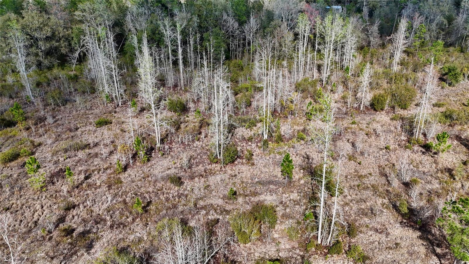 Image 40 of 52 For 00 Nw 89th Avenue