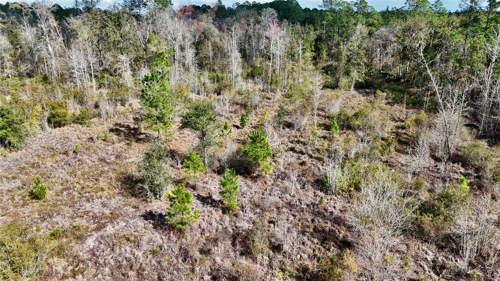 Image 41 of 52 For 00 Nw 89th Avenue