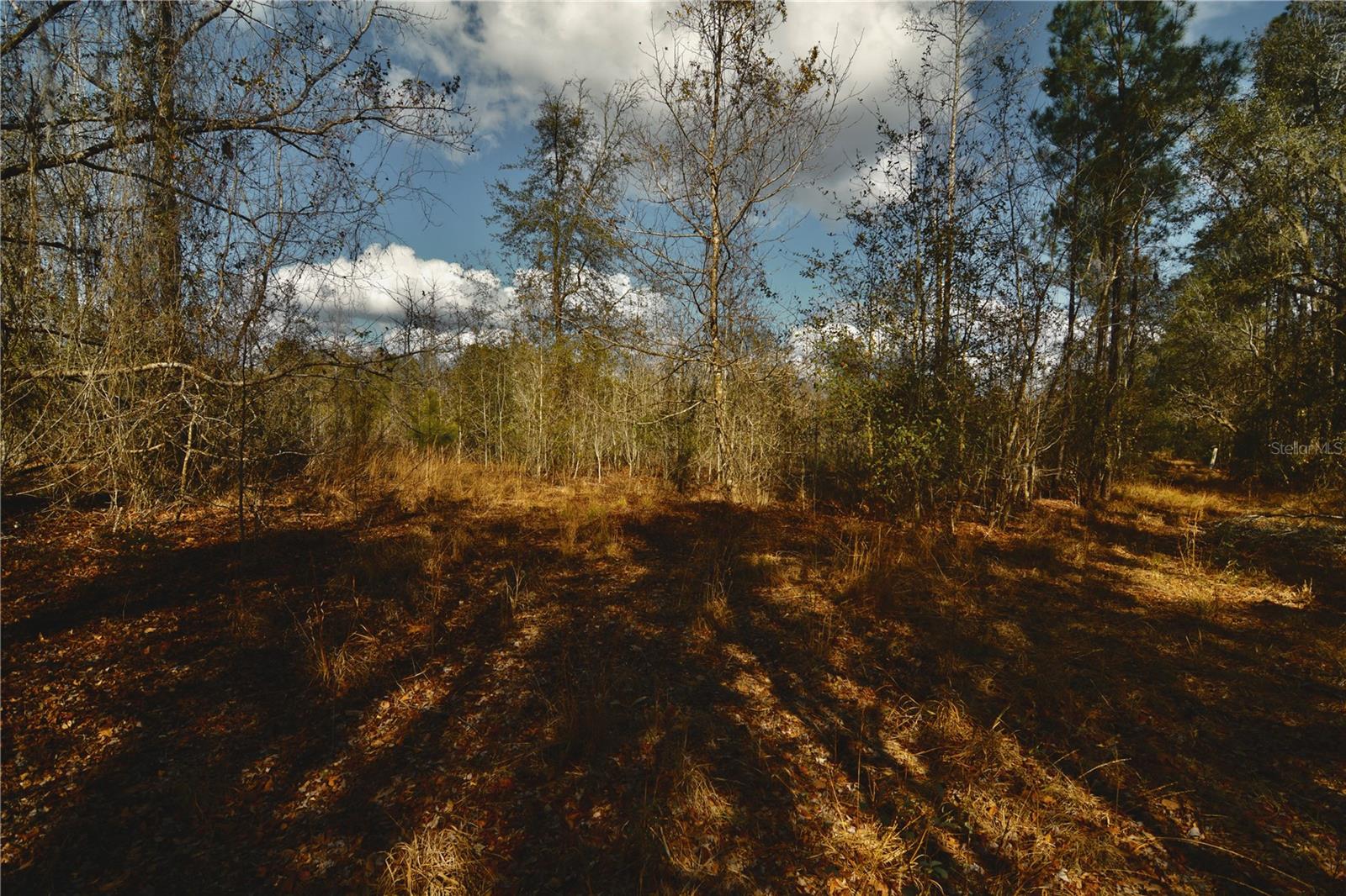 Image 5 of 52 For 00 Nw 89th Avenue