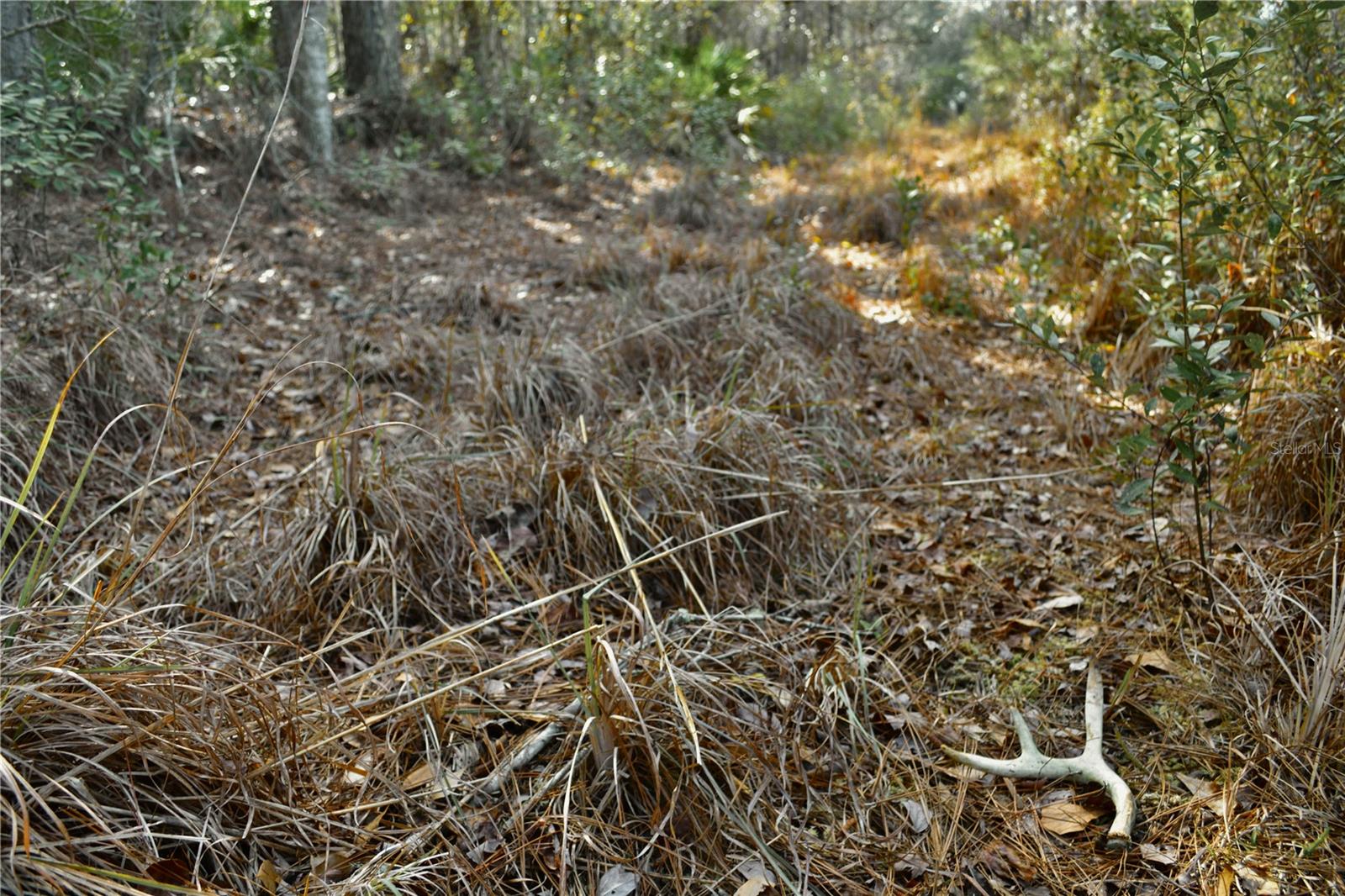 Image 6 of 52 For 00 Nw 89th Avenue