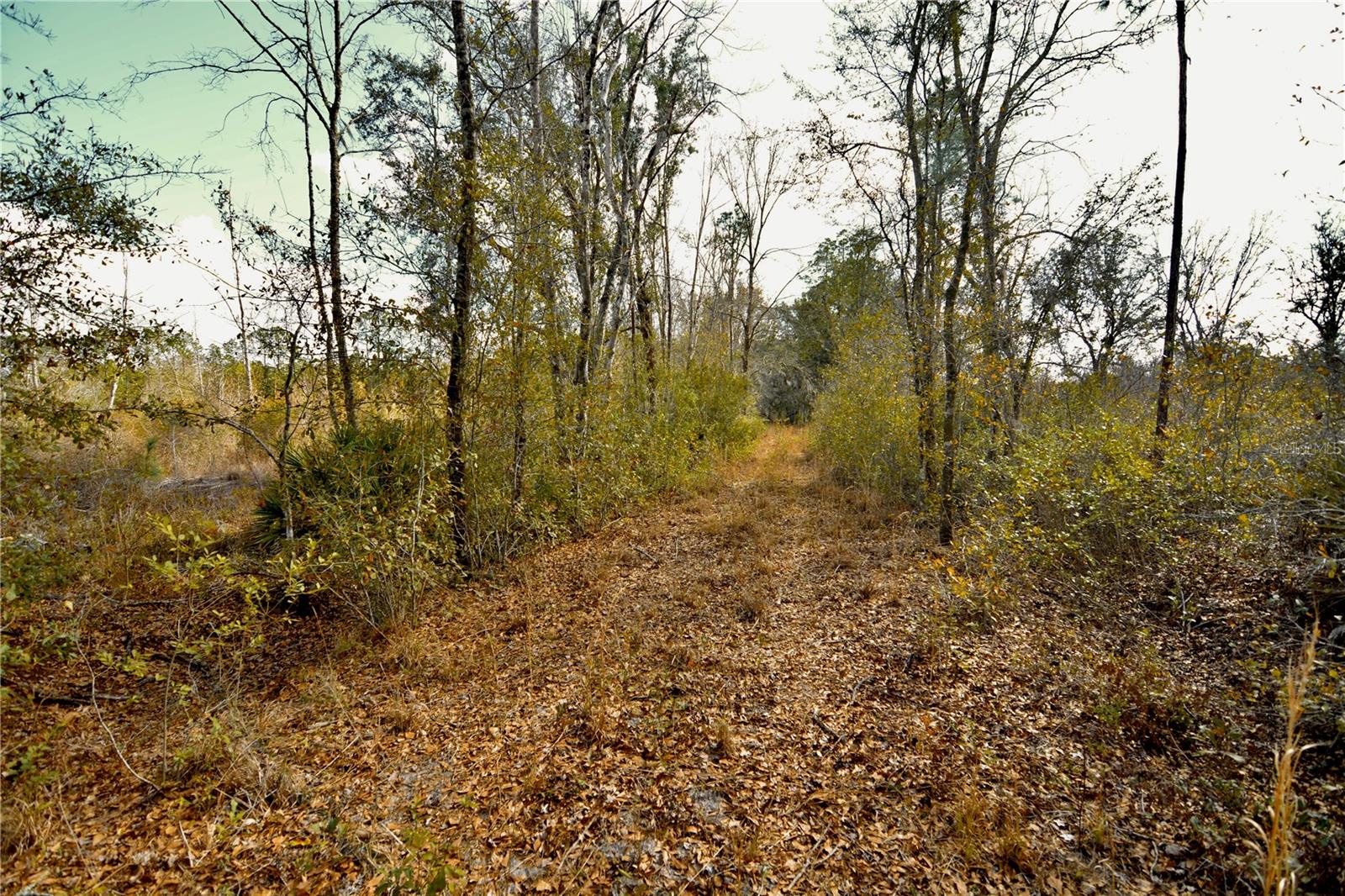 Image 8 of 52 For 00 Nw 89th Avenue