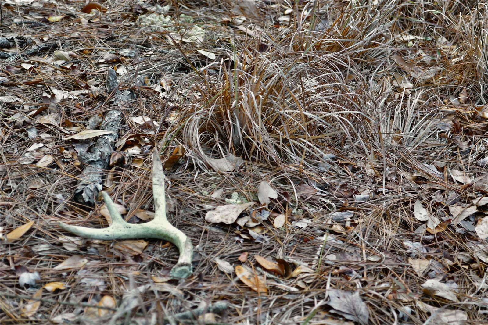 Image 9 of 52 For 00 Nw 89th Avenue